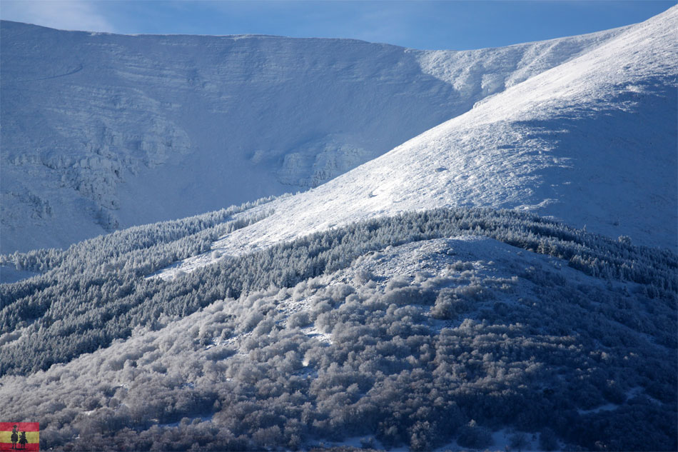 Moncayo