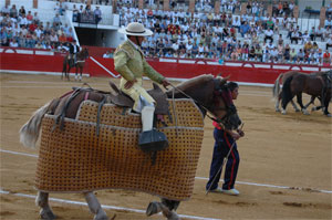 picador
